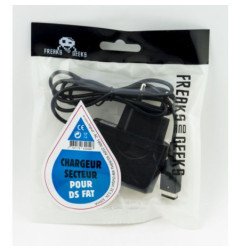 CHARGEUR SECTEUR  - DS FAT