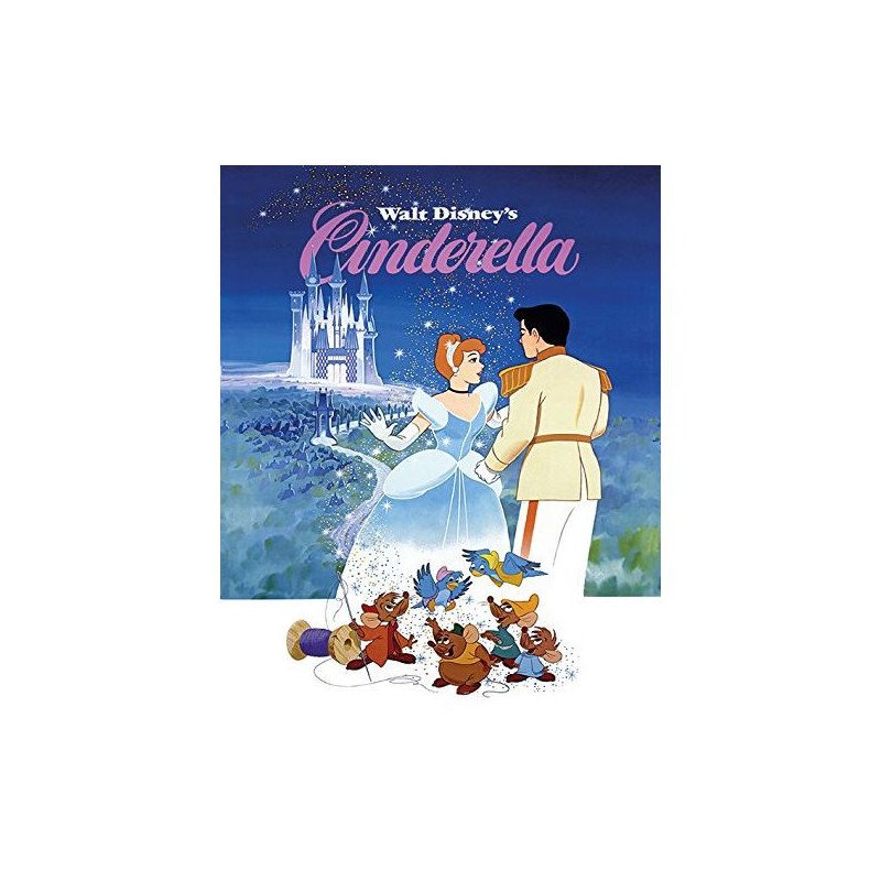 DISNEY - CINDERELLA - TOILE 40X50 - CENDRILLON
