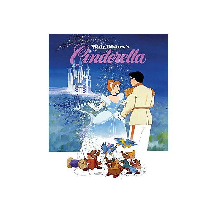 DISNEY - CINDERELLA - TOILE 40X50 - CENDRILLON