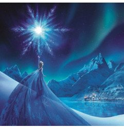 DISNEY - FROZEN - TOILE 30X30 - ELSA ICE STAR