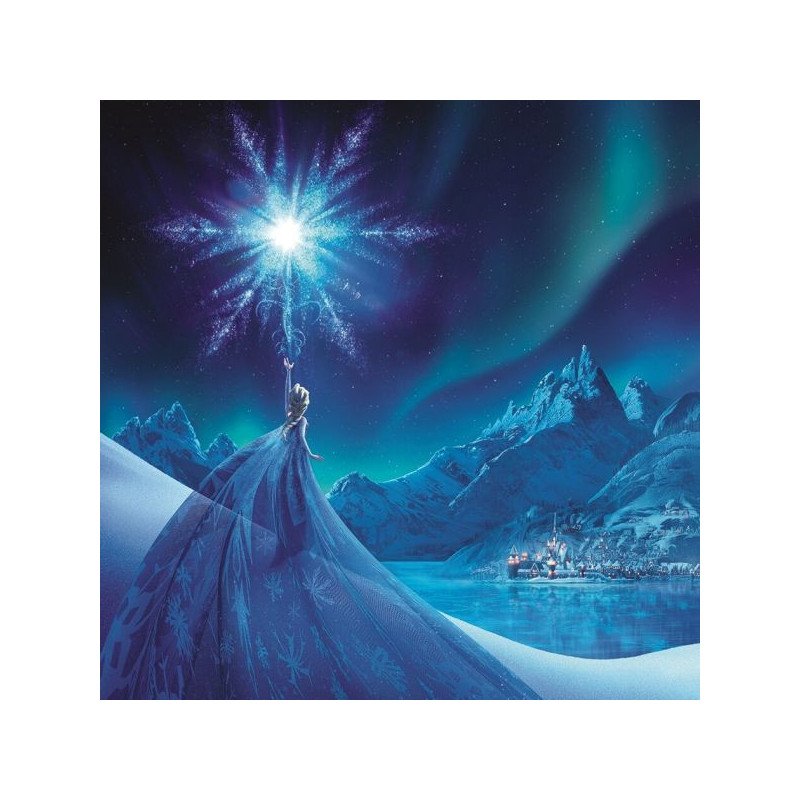 DISNEY - FROZEN - TOILE 30X30 - ELSA ICE STAR