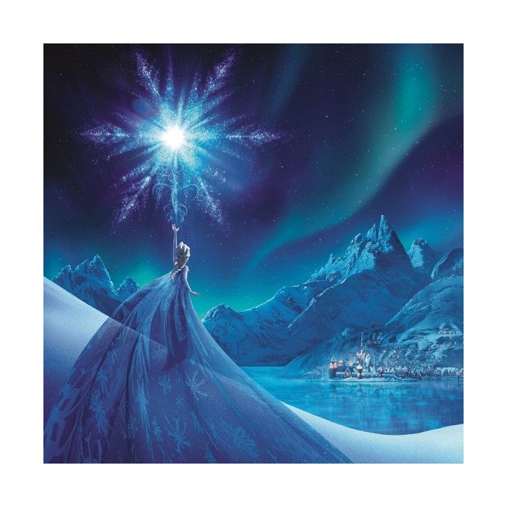 DISNEY - FROZEN - TOILE 30X30 - ELSA ICE STAR