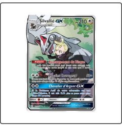 Pokémon – Silvallié (227/236) – disponible à Verdun