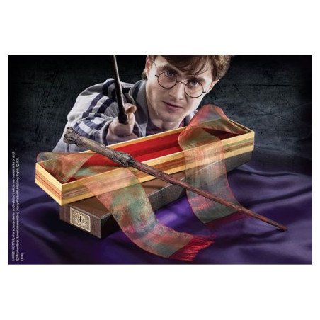 Harry Potter - Baguette Ollivander - Harry Potter