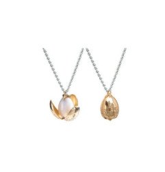 HARRY POTTER - COLLIER EN PLAQUE OR - OEUF D OR + COFFRET PRESENTOIR