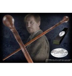 HARRY POTTER - BAGUETTE - PROFESSEUR REMUS LUPIN