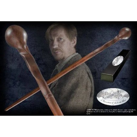 HARRY POTTER - BAGUETTE - PROFESSEUR REMUS LUPIN