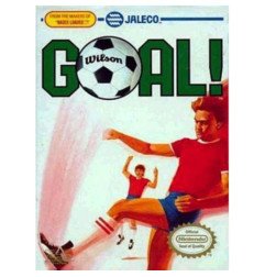 GOAL - NES OCC