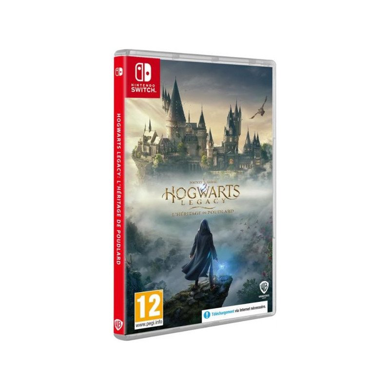 HOGWARTS LEGACY - L HERITAGE DE POUDLARD - SWITCH OCC