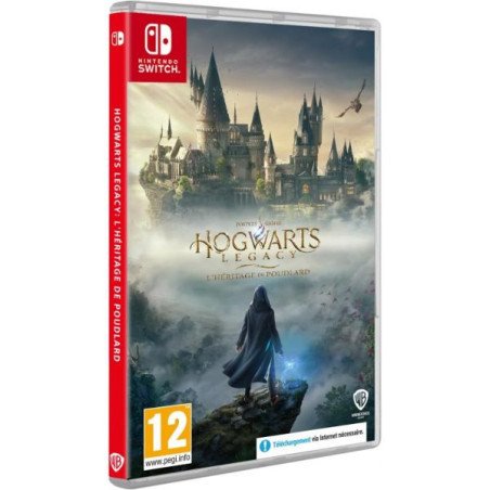 HOGWARTS LEGACY - L HERITAGE DE POUDLARD - SWITCH OCC