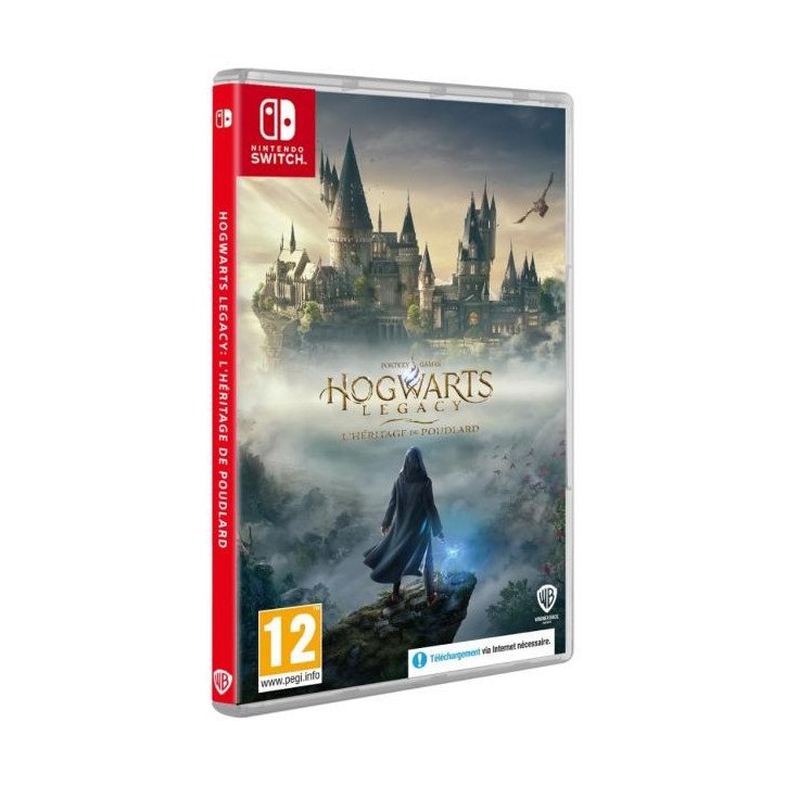HOGWARTS LEGACY - L HERITAGE DE POUDLARD - SWITCH OCC